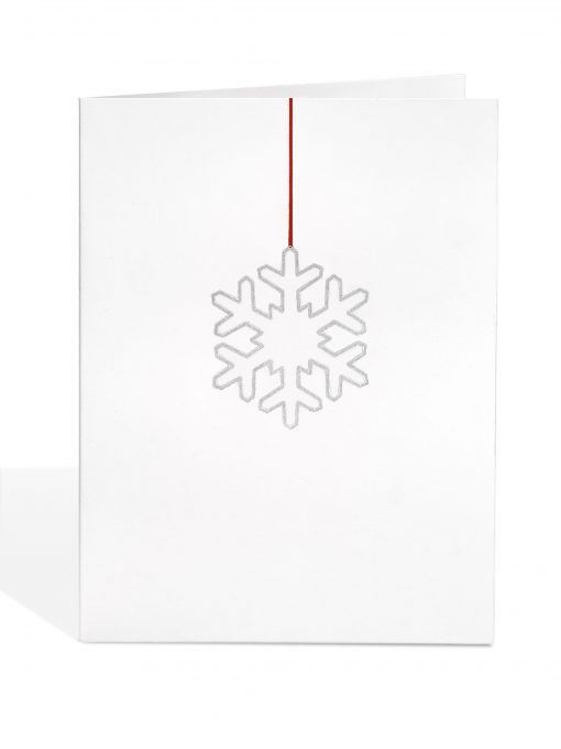 Silver Snowflake Decoration Print (Decoration Removed)